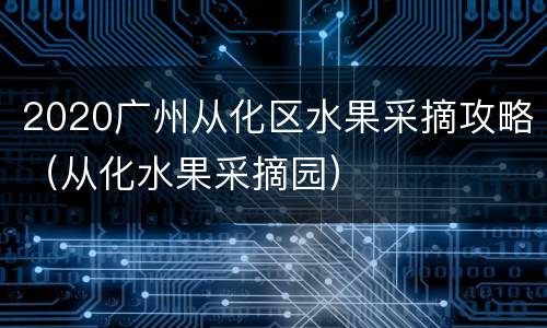 2020广州从化区水果采摘攻略（从化水果采摘园）