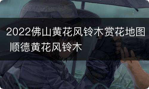 2022佛山黄花风铃木赏花地图 顺德黄花风铃木