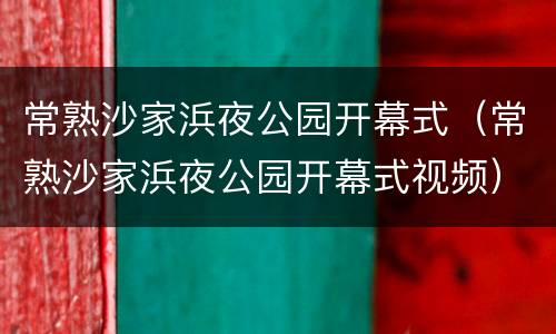 常熟沙家浜夜公园开幕式（常熟沙家浜夜公园开幕式视频）