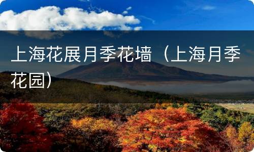 上海花展月季花墙（上海月季花园）