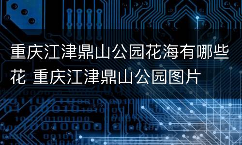 重庆江津鼎山公园花海有哪些花 重庆江津鼎山公园图片
