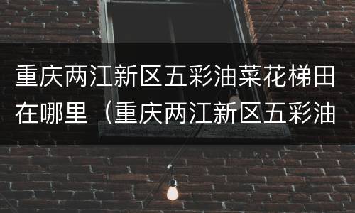 重庆两江新区五彩油菜花梯田在哪里（重庆两江新区五彩油菜花梯田在哪里呀）