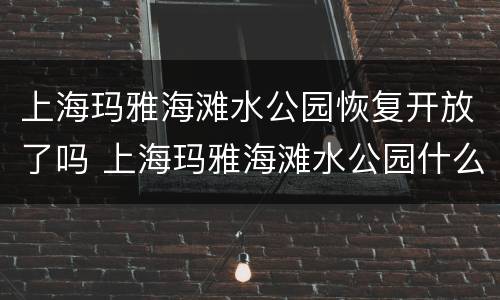上海玛雅海滩水公园恢复开放了吗 上海玛雅海滩水公园什么时候开放