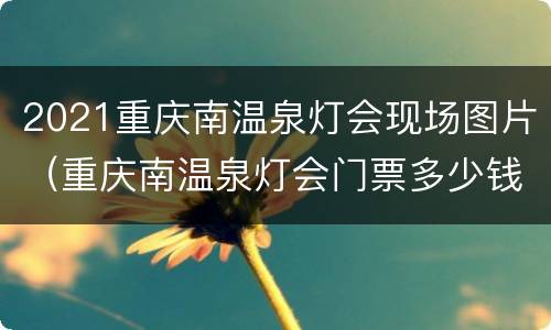 2021重庆南温泉灯会现场图片（重庆南温泉灯会门票多少钱一张）