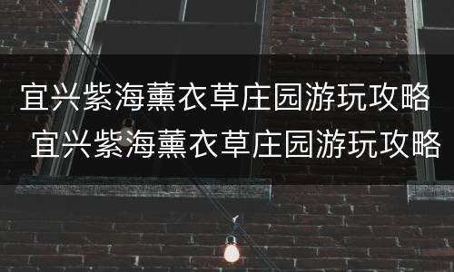 宜兴紫海薰衣草庄园游玩攻略 宜兴紫海薰衣草庄园游玩攻略一日游