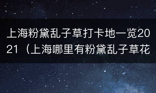 上海粉黛乱子草打卡地一览2021（上海哪里有粉黛乱子草花海）