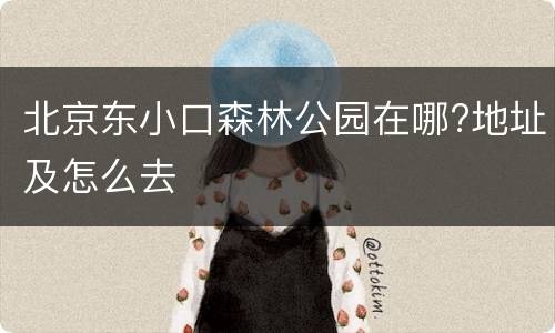 北京东小口森林公园在哪?地址及怎么去