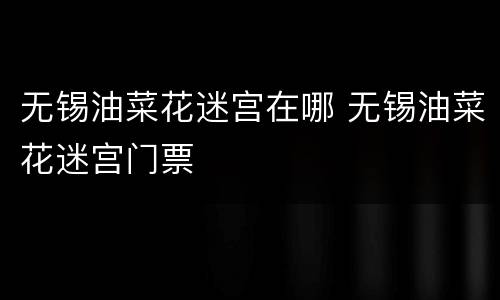 无锡油菜花迷宫在哪 无锡油菜花迷宫门票