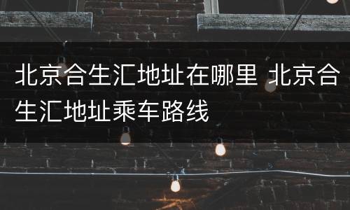 北京合生汇地址在哪里 北京合生汇地址乘车路线