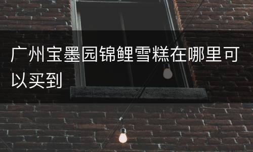 广州宝墨园锦鲤雪糕在哪里可以买到