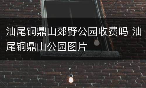 汕尾铜鼎山郊野公园收费吗 汕尾铜鼎山公园图片