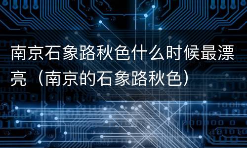 南京石象路秋色什么时候最漂亮（南京的石象路秋色）