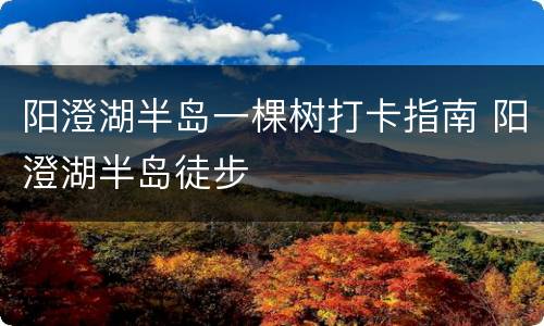 阳澄湖半岛一棵树打卡指南 阳澄湖半岛徒步