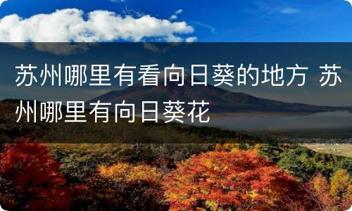 苏州哪里有看向日葵的地方 苏州哪里有向日葵花