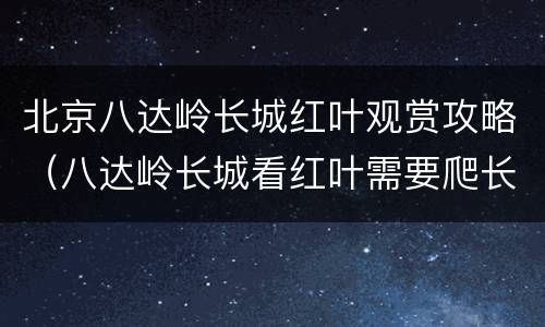 北京八达岭长城红叶观赏攻略（八达岭长城看红叶需要爬长城吗）