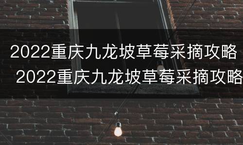 2022重庆九龙坡草莓采摘攻略 2022重庆九龙坡草莓采摘攻略及价格