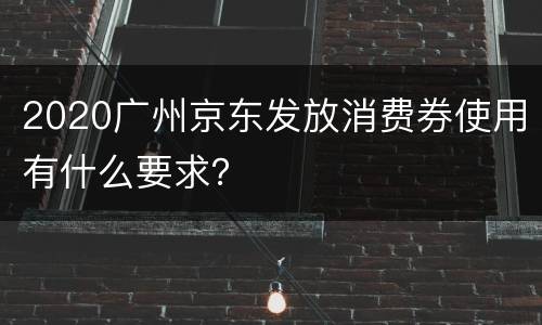 2020广州京东发放消费券使用有什么要求？
