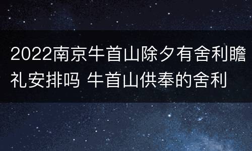 2022南京牛首山除夕有舍利瞻礼安排吗 牛首山供奉的舍利