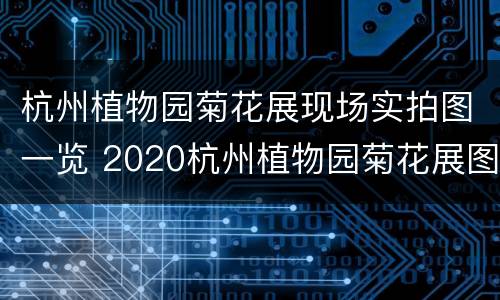 杭州植物园菊花展现场实拍图一览 2020杭州植物园菊花展图片