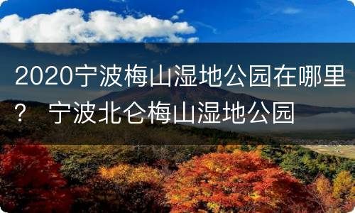 2020宁波梅山湿地公园在哪里？ 宁波北仑梅山湿地公园