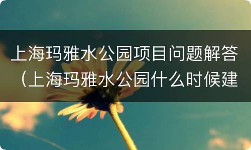 上海玛雅水公园项目问题解答（上海玛雅水公园什么时候建成的）