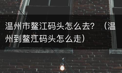 温州市鳌江码头怎么去？（温州到鳌江码头怎么走）
