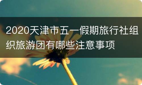 2020天津市五一假期旅行社组织旅游团有哪些注意事项