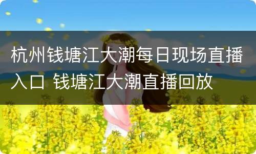 杭州钱塘江大潮每日现场直播入口 钱塘江大潮直播回放