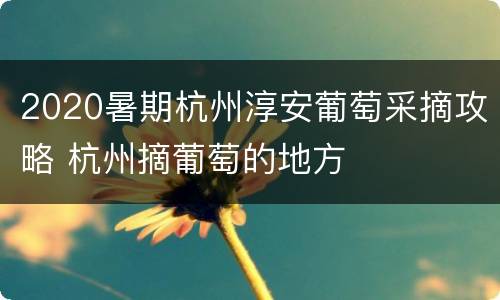2020暑期杭州淳安葡萄采摘攻略 杭州摘葡萄的地方