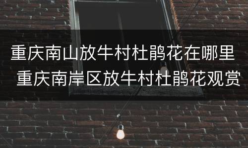 重庆南山放牛村杜鹃花在哪里 重庆南岸区放牛村杜鹃花观赏攻略