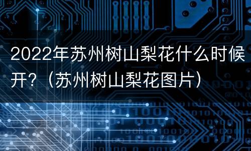 2022年苏州树山梨花什么时候开?（苏州树山梨花图片）