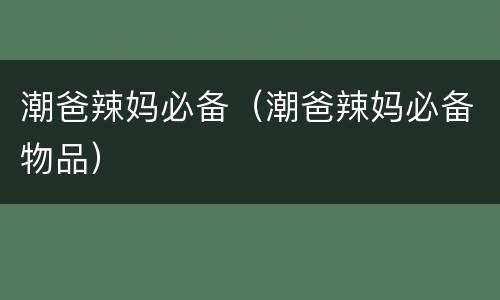 潮爸辣妈必备（潮爸辣妈必备物品）