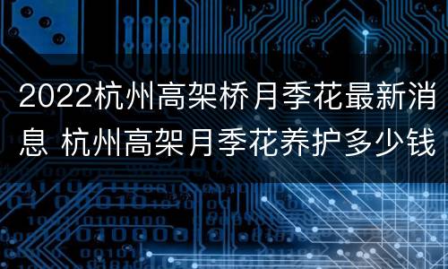 2022杭州高架桥月季花最新消息 杭州高架月季花养护多少钱1盆?