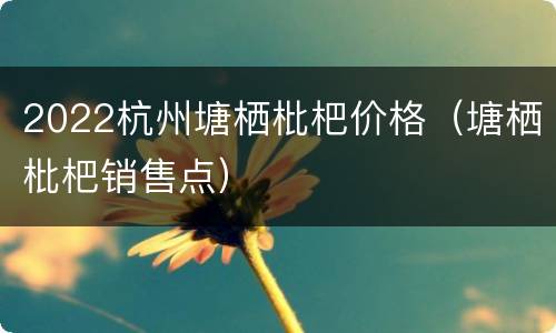 2022杭州塘栖枇杷价格（塘栖枇杷销售点）