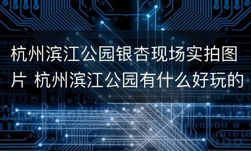 杭州滨江公园银杏现场实拍图片 杭州滨江公园有什么好玩的地方