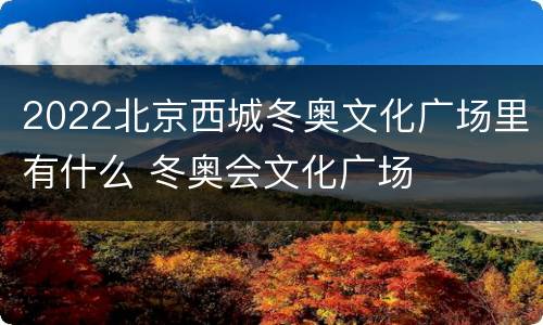 2022北京西城冬奥文化广场里有什么 冬奥会文化广场