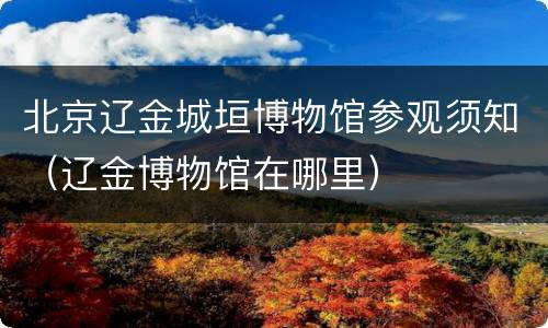 北京辽金城垣博物馆参观须知（辽金博物馆在哪里）