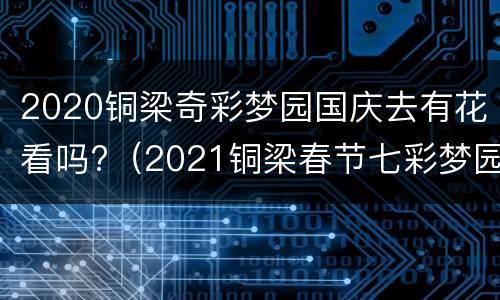 2020铜梁奇彩梦园国庆去有花看吗?（2021铜梁春节七彩梦园灯会）