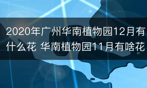 2020年广州华南植物园12月有什么花 华南植物园11月有啥花