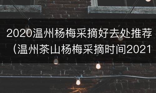 2020温州杨梅采摘好去处推荐（温州茶山杨梅采摘时间2021）