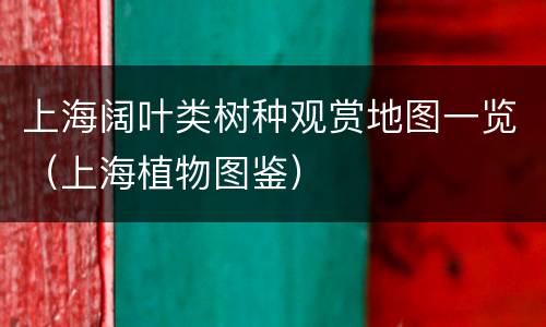上海阔叶类树种观赏地图一览（上海植物图鉴）