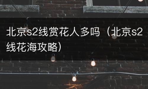 北京s2线赏花人多吗（北京s2线花海攻略）