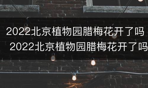 2022北京植物园腊梅花开了吗 2022北京植物园腊梅花开了吗现在