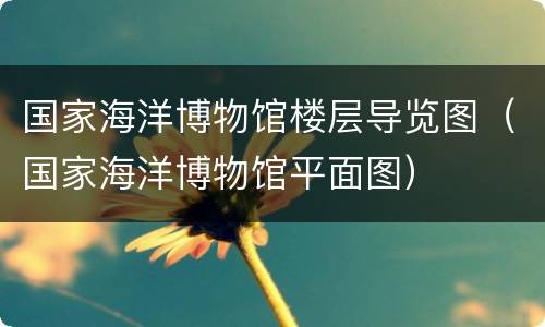 国家海洋博物馆楼层导览图（国家海洋博物馆平面图）