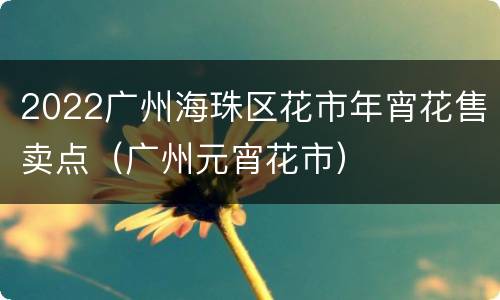 2022广州海珠区花市年宵花售卖点（广州元宵花市）