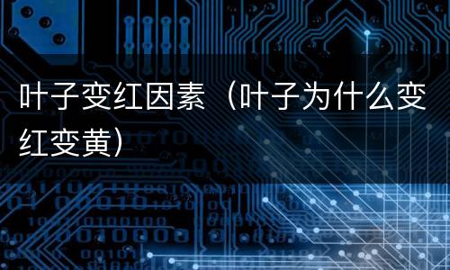 叶子变红因素（叶子为什么变红变黄）