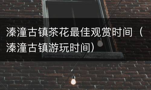 溱潼古镇茶花最佳观赏时间（溱潼古镇游玩时间）
