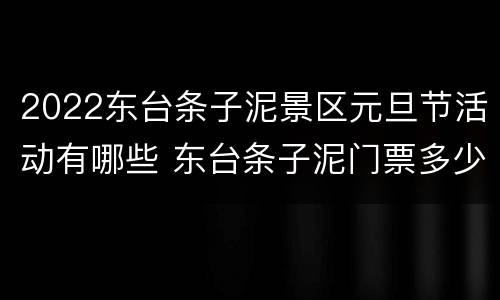2022东台条子泥景区元旦节活动有哪些 东台条子泥门票多少钱
