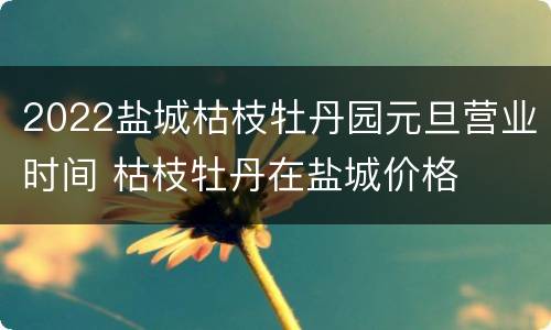 2022盐城枯枝牡丹园元旦营业时间 枯枝牡丹在盐城价格