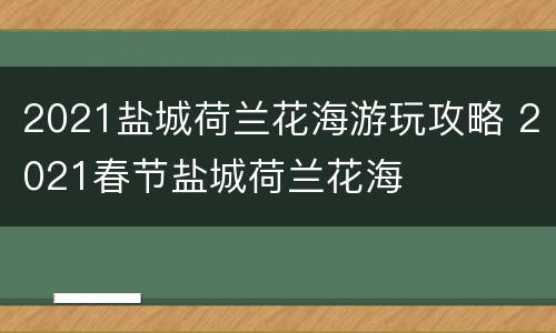 2021盐城荷兰花海游玩攻略 2021春节盐城荷兰花海
